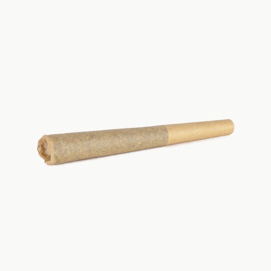 NUG - NUG PreRoll - Motorbreath - 1