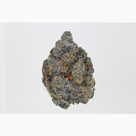 Ember Valley - Verzace 7G Smalls - 1