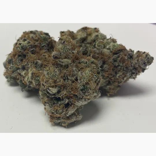 7 Leaf - Trop Santo - 1