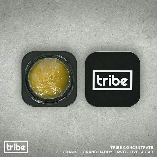 Tribe - Grand Daddy Dawg - Live Sugar - Bucket - 3.5g - 1