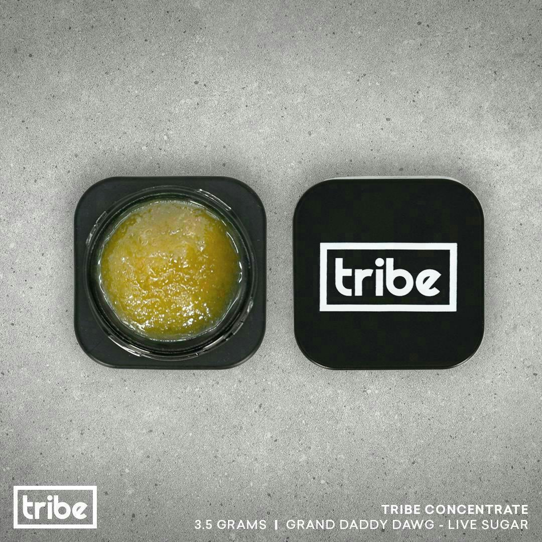 Tribe - Tribe | Grand Daddy Dawg | Live Sugar Bucket | 3.5g - 1