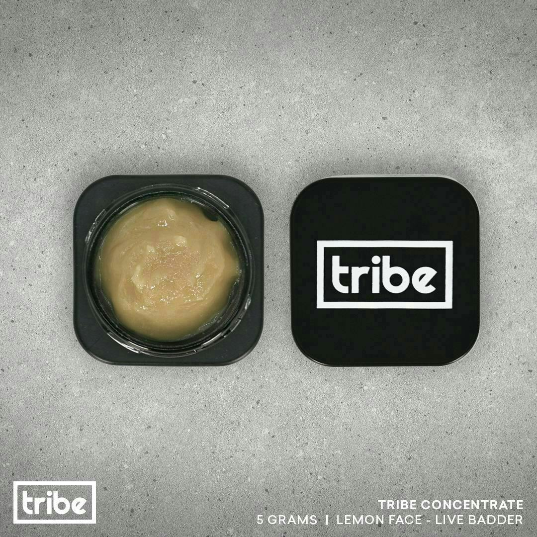 Tribe - Lemon Face - Live Badder - Baller - 5g - 1