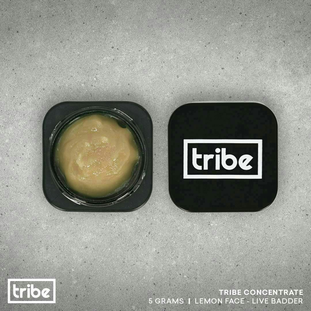 Tribe - Tribe | Lemon Face | Live Badder Baller | 5g - 1