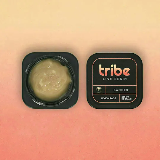 Tribe - Tribe | Lemon Face | Live Badder Bucket | 3.5g - 1