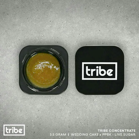 Tribe - Tribe | Wedding Cake x PPBK | Live Sugar Bucket | 3.5g - 1