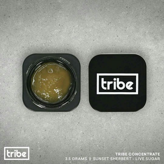 Tribe - Sunset Sherbet - Live Sugar - Bucket - 3.5g - 1