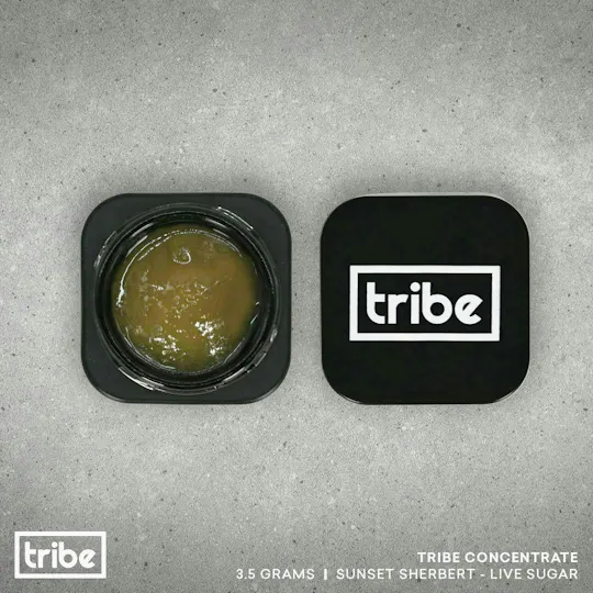 Tribe - Tribe | Sunset Sherbet | Live Sugar Bucket | 3.5g - 1