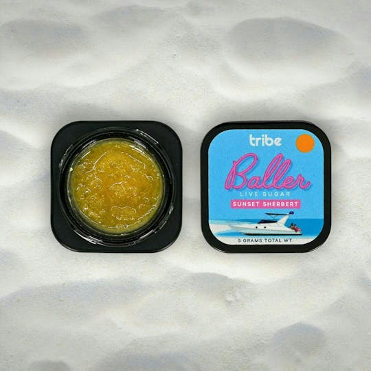 Tribe - Sunset Sherbet - Live Sugar - Baller - 5g - 1