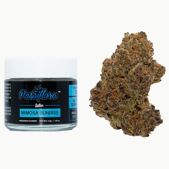 Passiflora - Mimosa Sunrise - 1