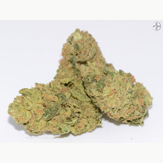 Organic Care of California - (29.4%) Chem Dawg (3.5g) INDICA Greenhouse - 1
