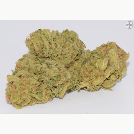 Organic Care of California - (29%) Lucid Blue (3.5g) SATIVA Greenhouse - 1