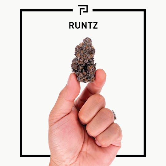 Primitiv - Runtz | 3.5g Flower - 1