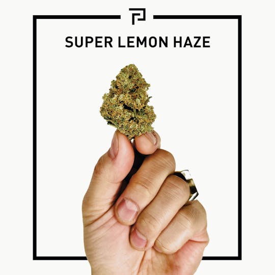 Primitiv - Super Lemon Haze | 3.5g Flower - 1