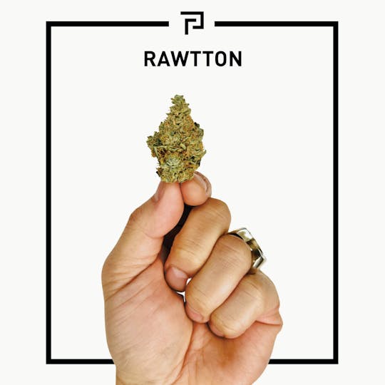 Primitiv - Rawtton | 3.5g Flower - 1