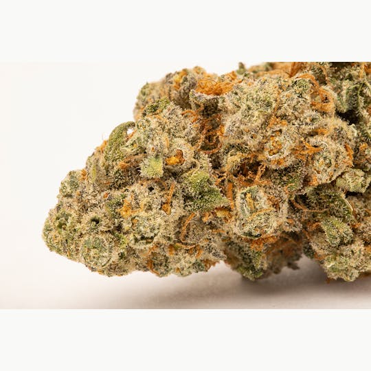 Wellness Connection - Mob Boss Pre-Roll - 1
