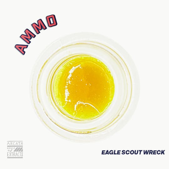 AMMO - Eagle Scout Wreck - Loaded Live™ Resin - 1