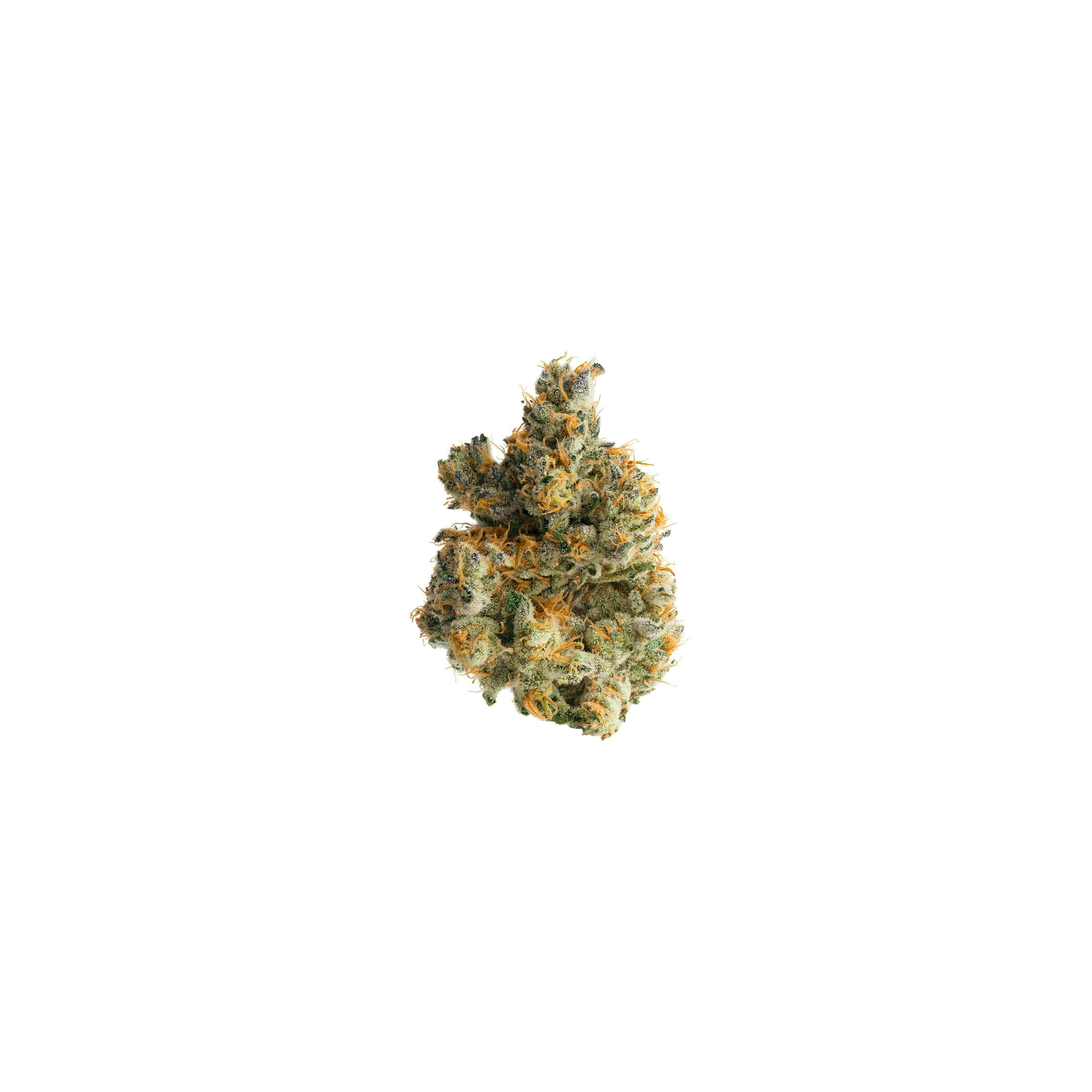 Preferred Gardens - Applescotti | Big Buds | 3.5g - 1