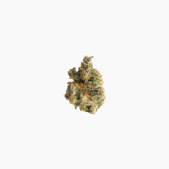 Preferred Gardens - Applescotti | Big Buds | 3.5g - 1