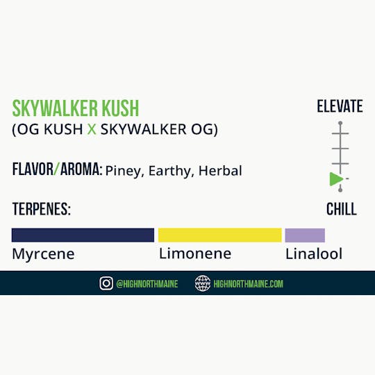 Wellness Connection - Skywalker Kush Small Flower Ounce - 1