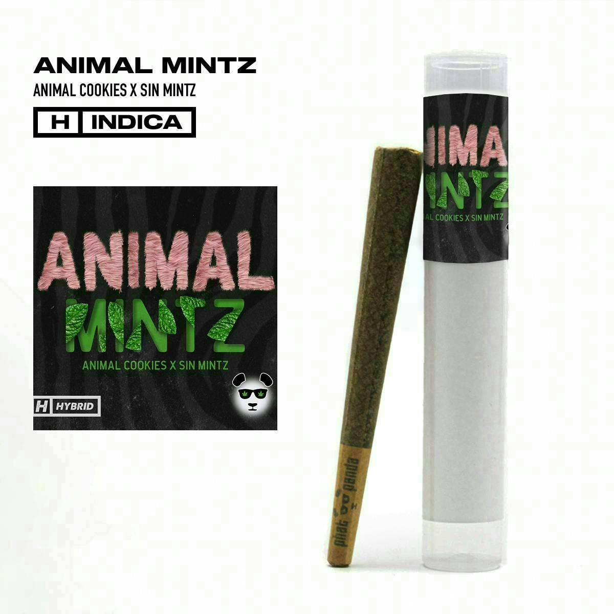 Phat Panda - Animal Mintz | Joint | 1g - 1
