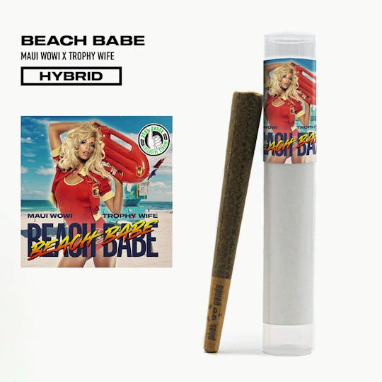 Phat Panda - Beach Babe - Preroll - WA - 1