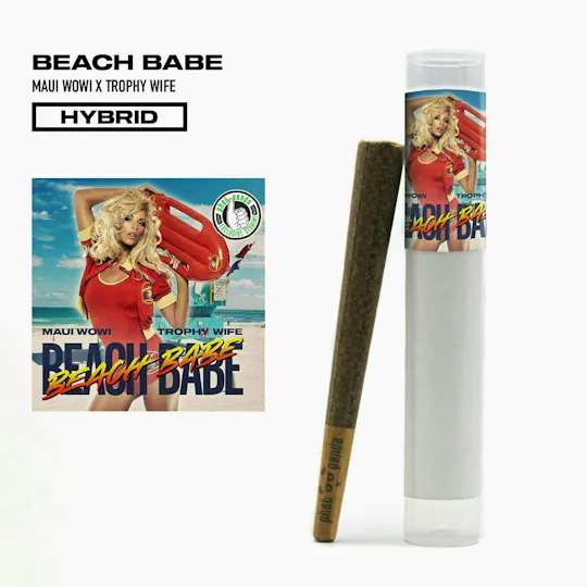 Phat Panda - Platinum | Beach Babe | Joint | 1g - 1