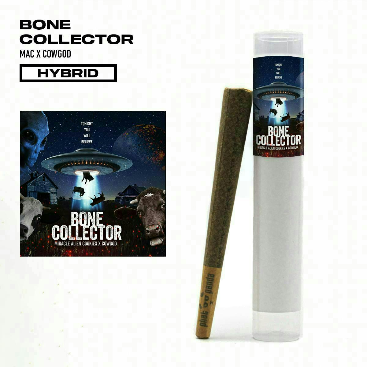 Phat Panda - Bone Collector | Joint | 1g - 1