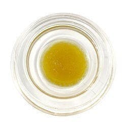 Green Truck - Live Resin (Pre-Packed) - Punch Breath - Eastern Roots / Green Truck - 1
