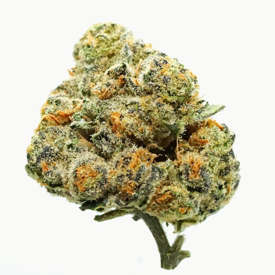 Fruit & Fuel - Fuel - Grape Pie x Biscotti - (3.5g) - 1