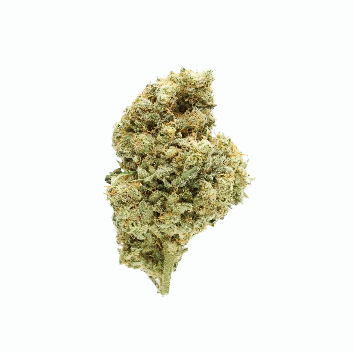 Pincanna - Pincanna - Mac 69 - (5pk x .5gm PreRolls) - 1