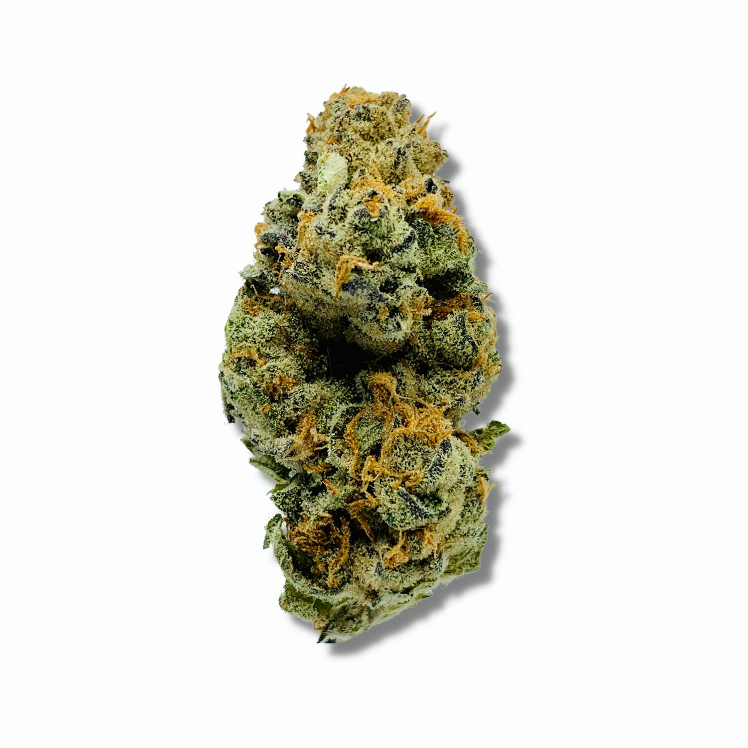 Pincanna - Pincanna - Grumpz - (5pk x .5gm PreRolls) - 1