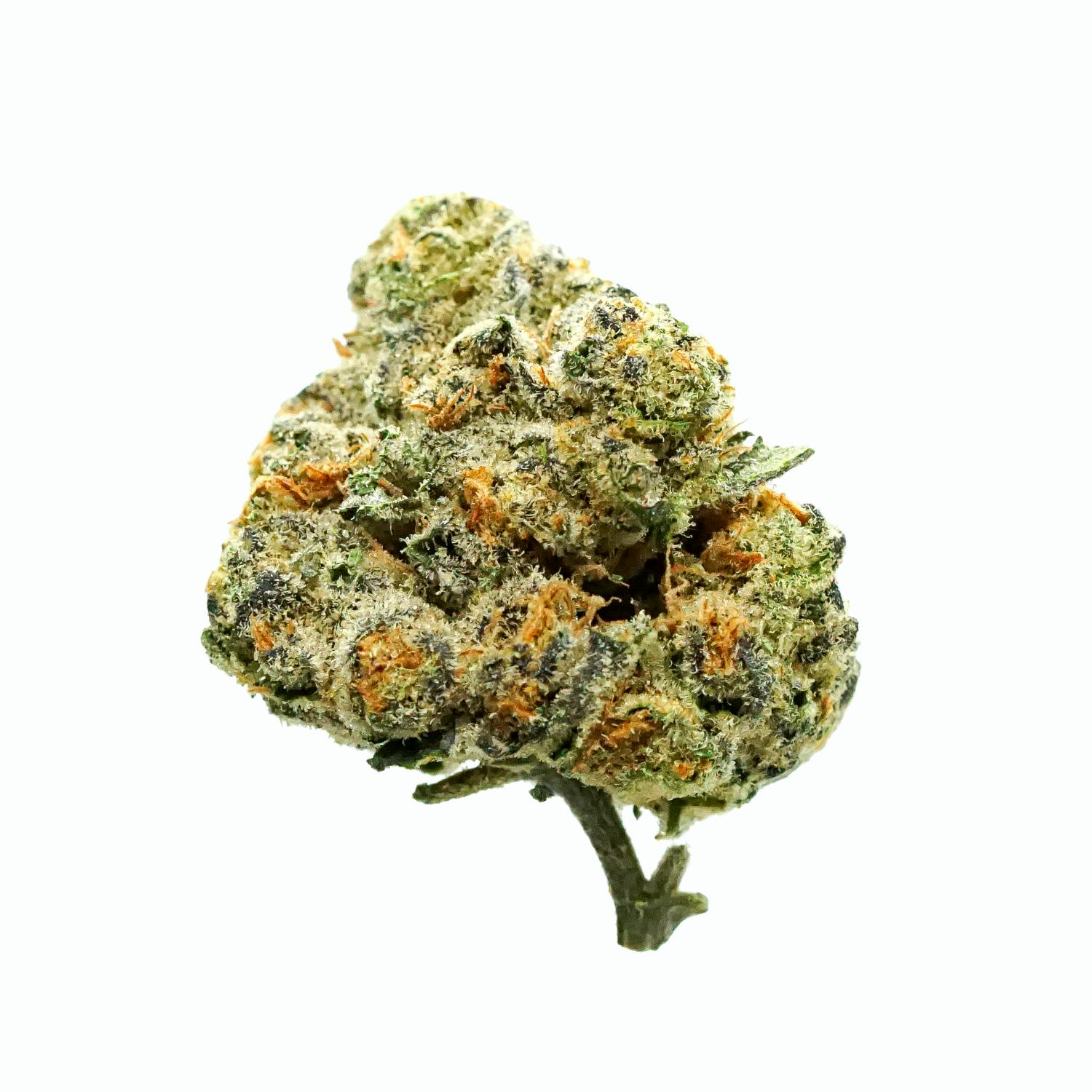 Pincanna - Pincanna - Grape Pie x Biscotti - (5pk x .5gm PreRolls) - 1