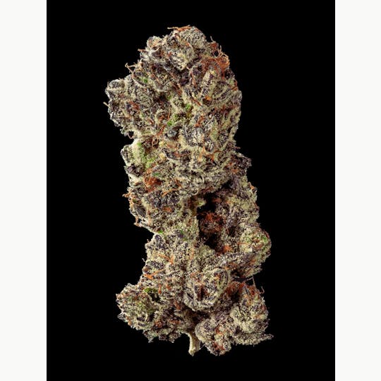 Garden First Cannabis - White Truffle by Garden First - 1