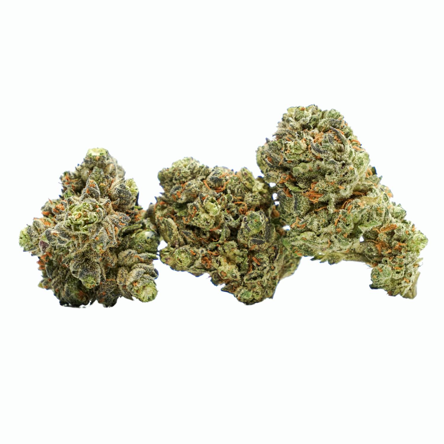 Pincanna - Pincanna - Odd Job - (PreRolls 5 Pack) - 1