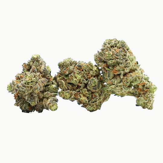 Pincanna - Pincanna - Odd Job - (PreRolls 5 Pack) - 1