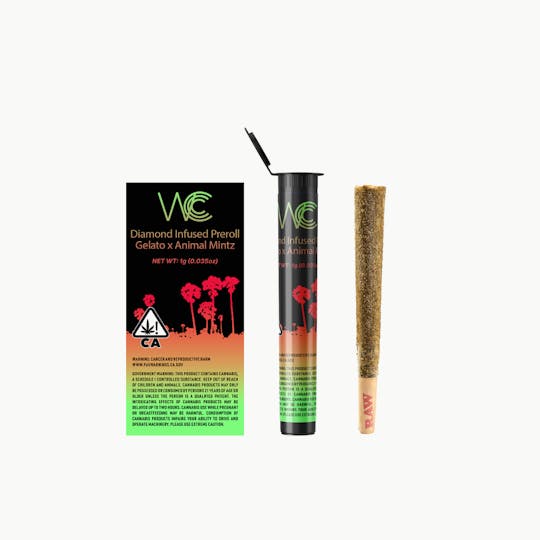 West Coast Cannabis Club - WCCC | Gelato 41 x Animal Mints Infused Preroll 1.3g - 1