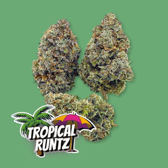 Dagwood Farm - Pre-rolls - Tropical Runtz - 1