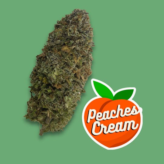 Dagwood Farm - Peaches N Cream - 1
