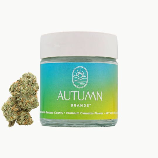 Autumn Brands - Jet Fuel Gelato - 1