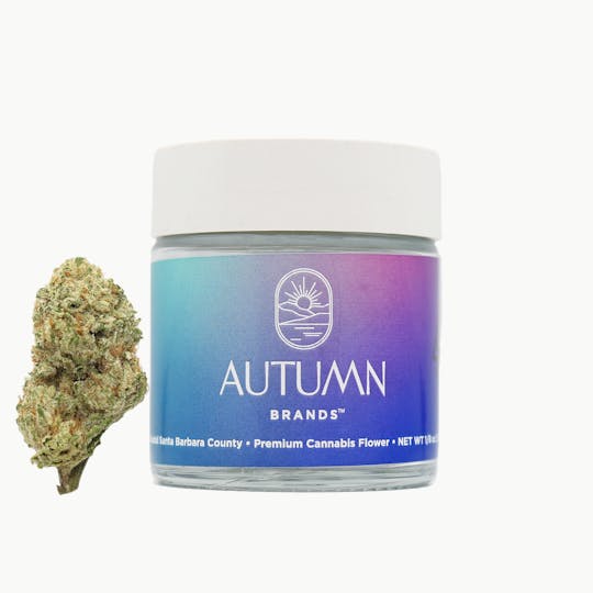 Autumn Brands - Tik Takz - 1