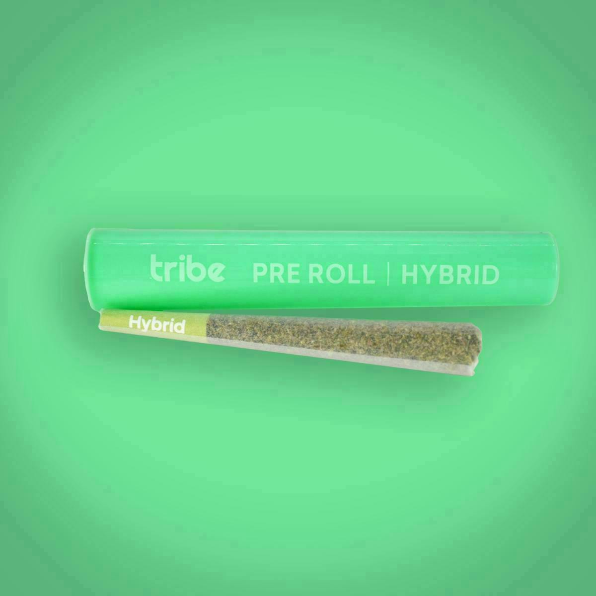 Tribe - Tribe | MAC Game | Joint | 1g - 1