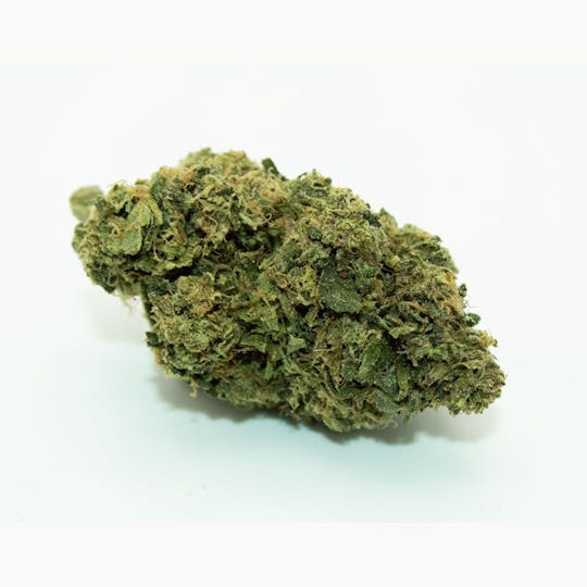 Trusty Transportations - Sunset Sherbet 1 Gram (28% THC, INDICA) - 1