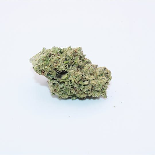 Trusty Transportations - Zombie Head 8th/3.5Grams (32% THC, INDICA) - 1