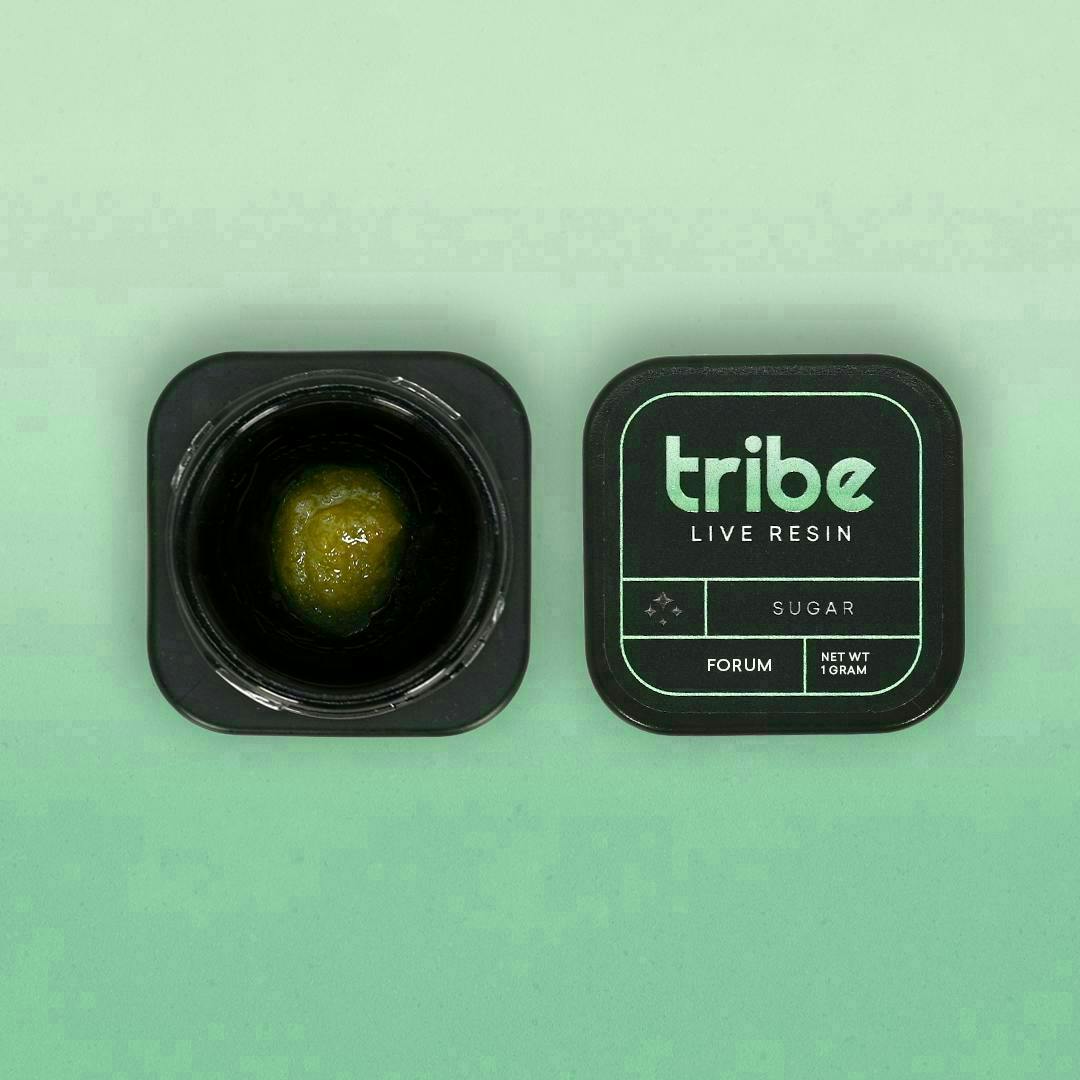 Tribe - Tribe | Forum | Live Sugar | 1g - 1