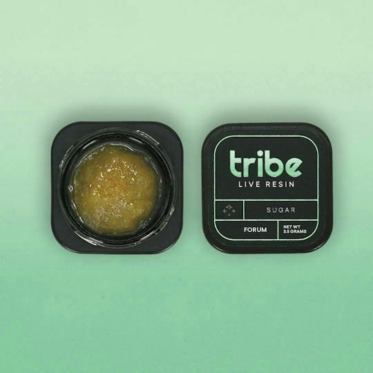 Tribe - Forum - Live Sugar - Bucket - 3.5g - 1