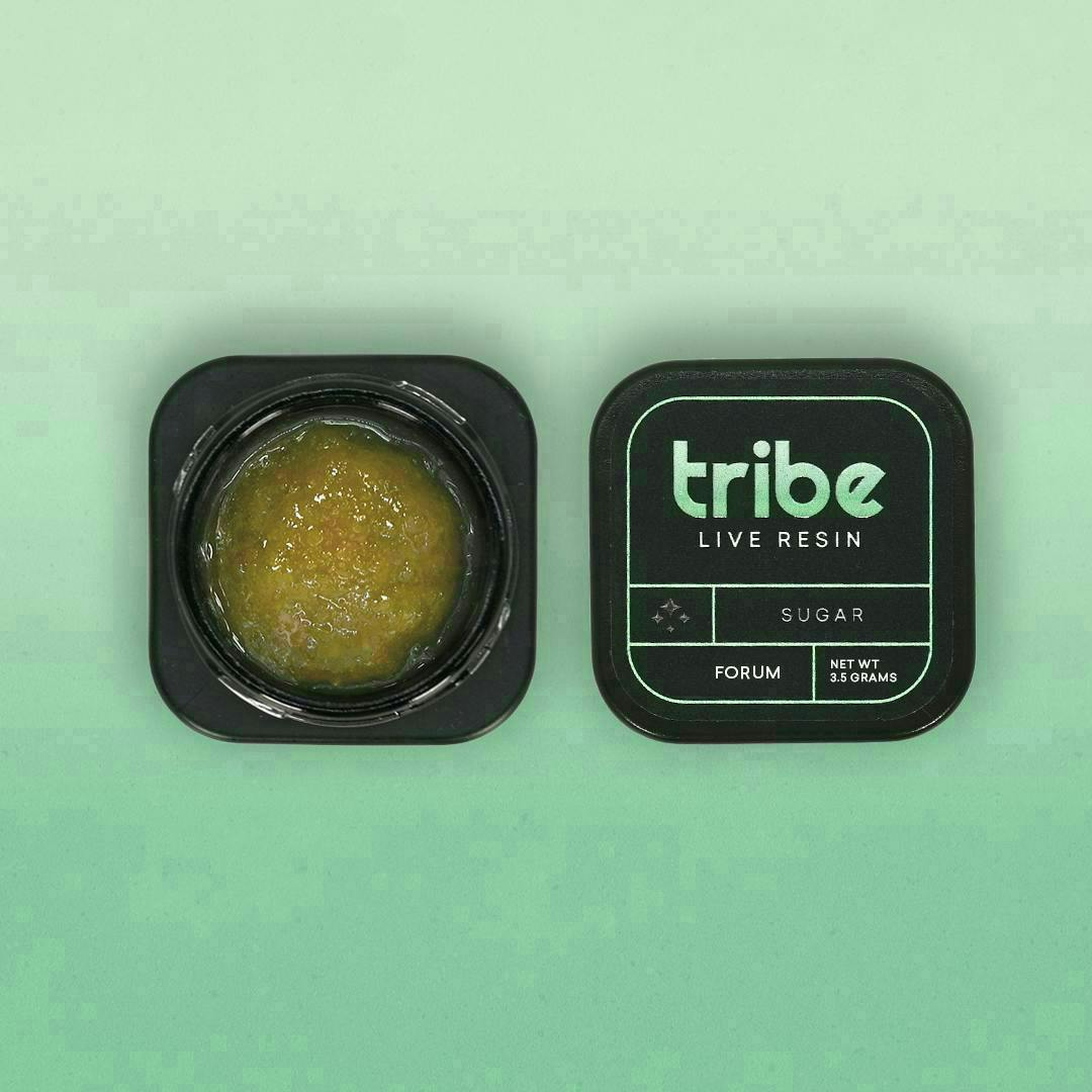 Tribe - Tribe | Forum | Live Sugar Bucket | 3.5g - 1