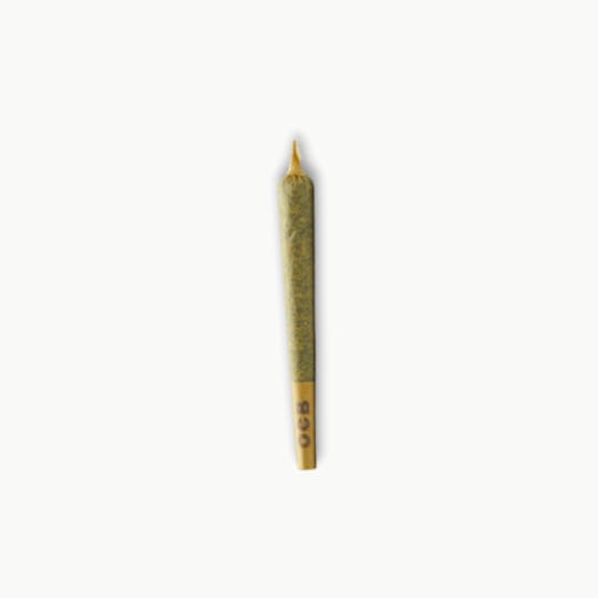 Fruit & Fuel - Fuel - White Truffle - (1g Preroll) - 1