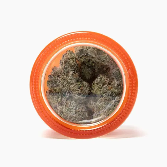 Sherbinskis - Sherbinskis | Lemon Cherry Gelato | Big Buds | 3.5g - 1