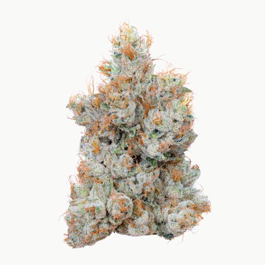 Alien Labs - Lemon Fuel OG - Indoor - 1