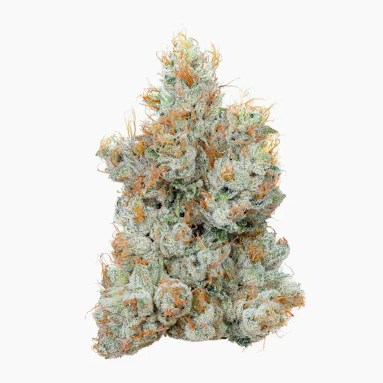 Alien Labs - Lemon Fuel OG | Indoor Flower | 3.5g - 1